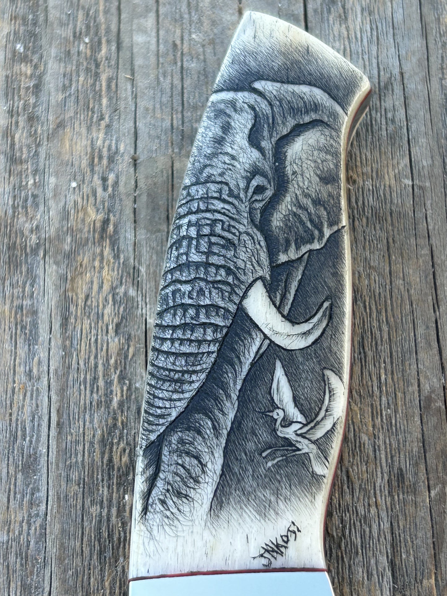 Nkosi - Elephant Scrimshaw