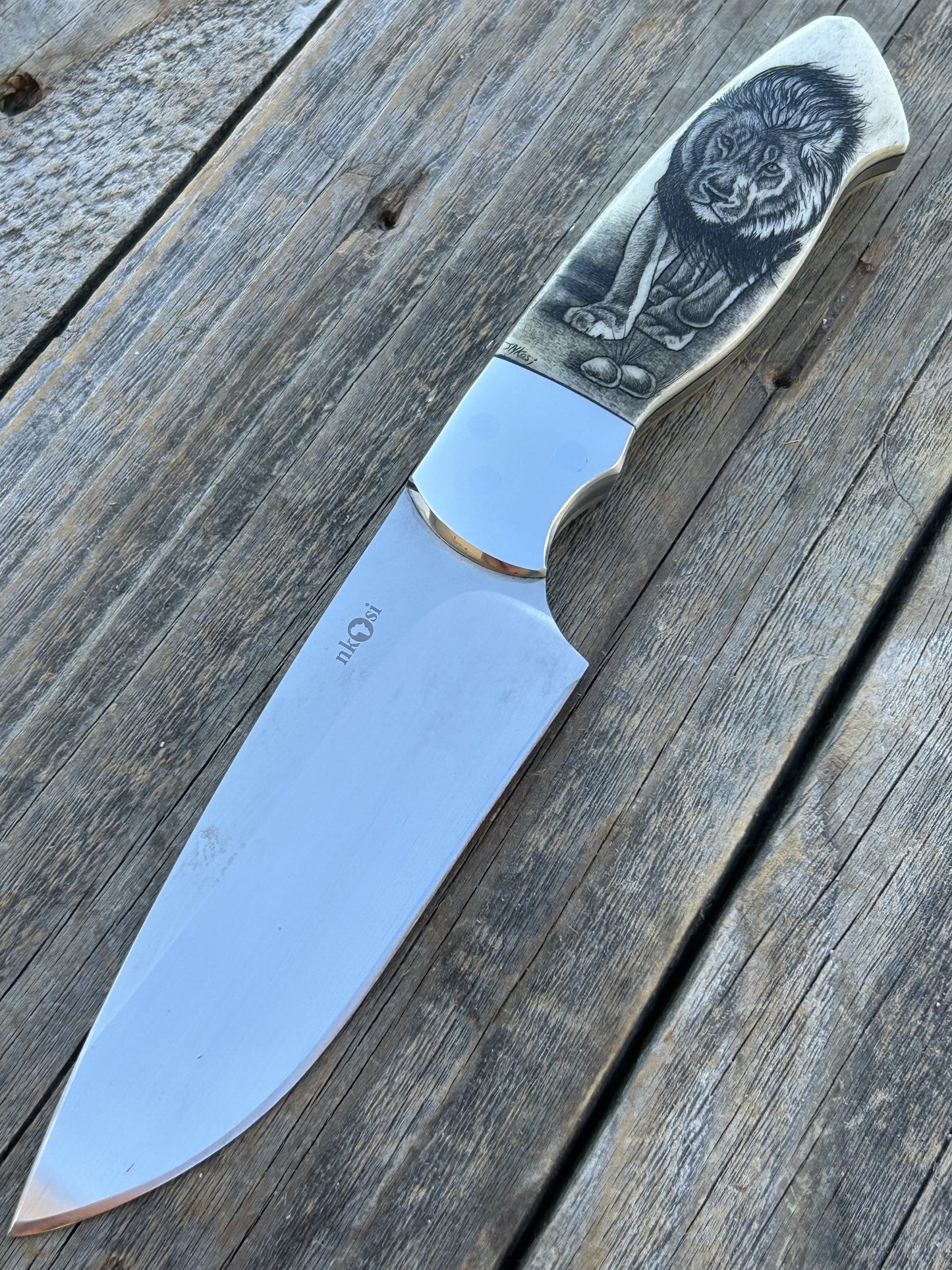 Nkosi - Lion Scrimshaw