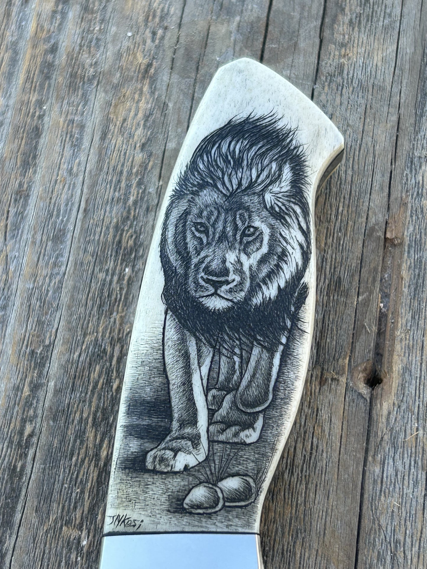 Nkosi - Lion Scrimshaw