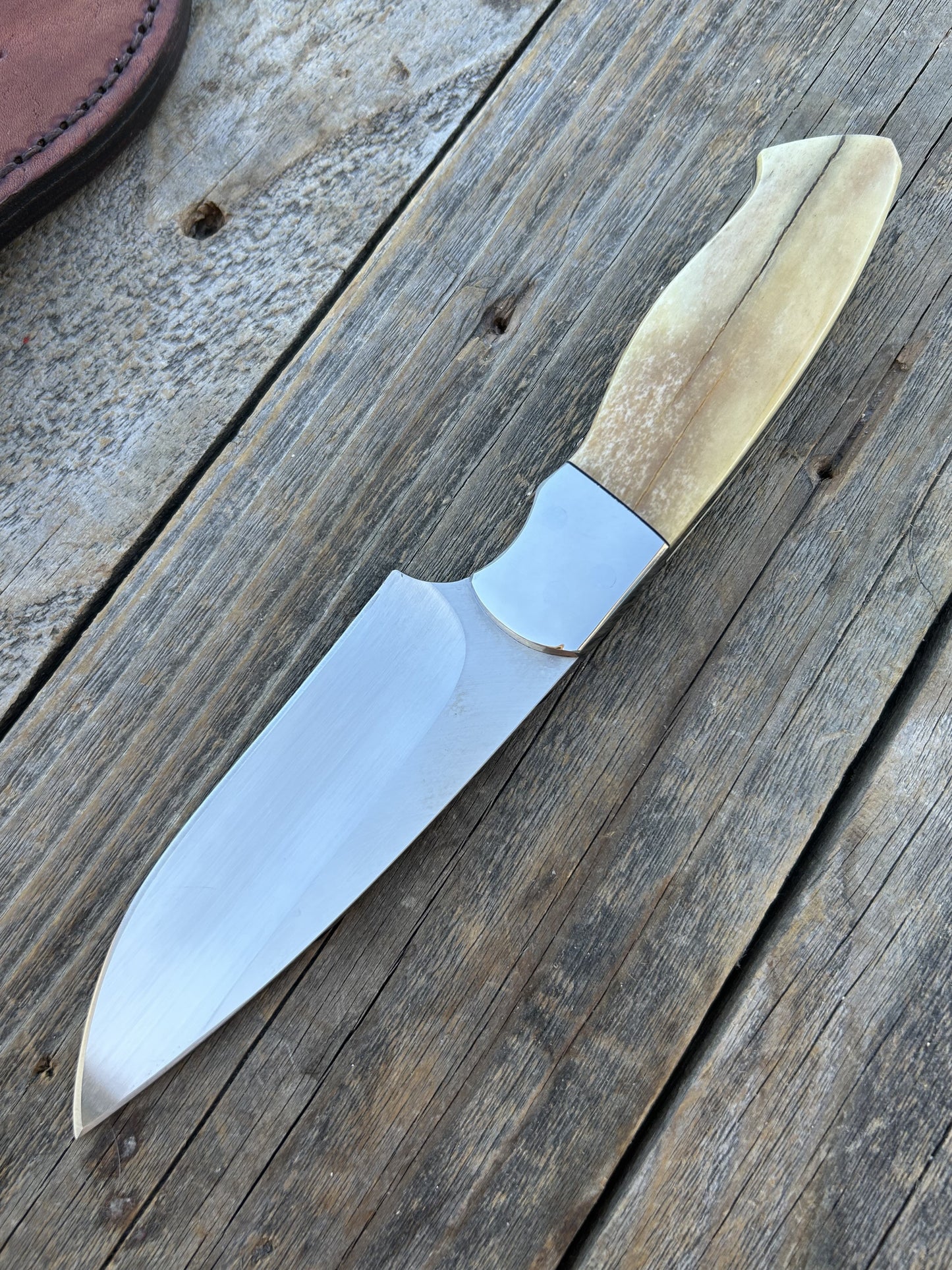 Nkosi - Lion Scrimshaw