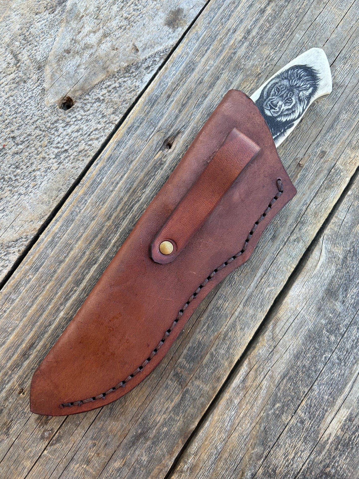 Nkosi - Lion Scrimshaw