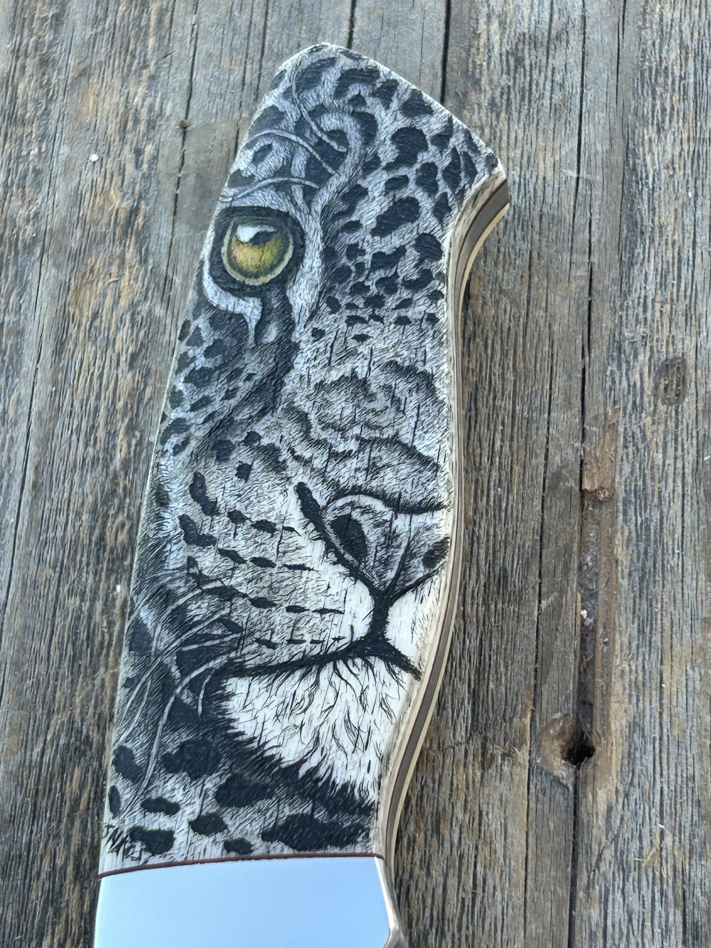 Nkosi - Leopard Scrimshaw