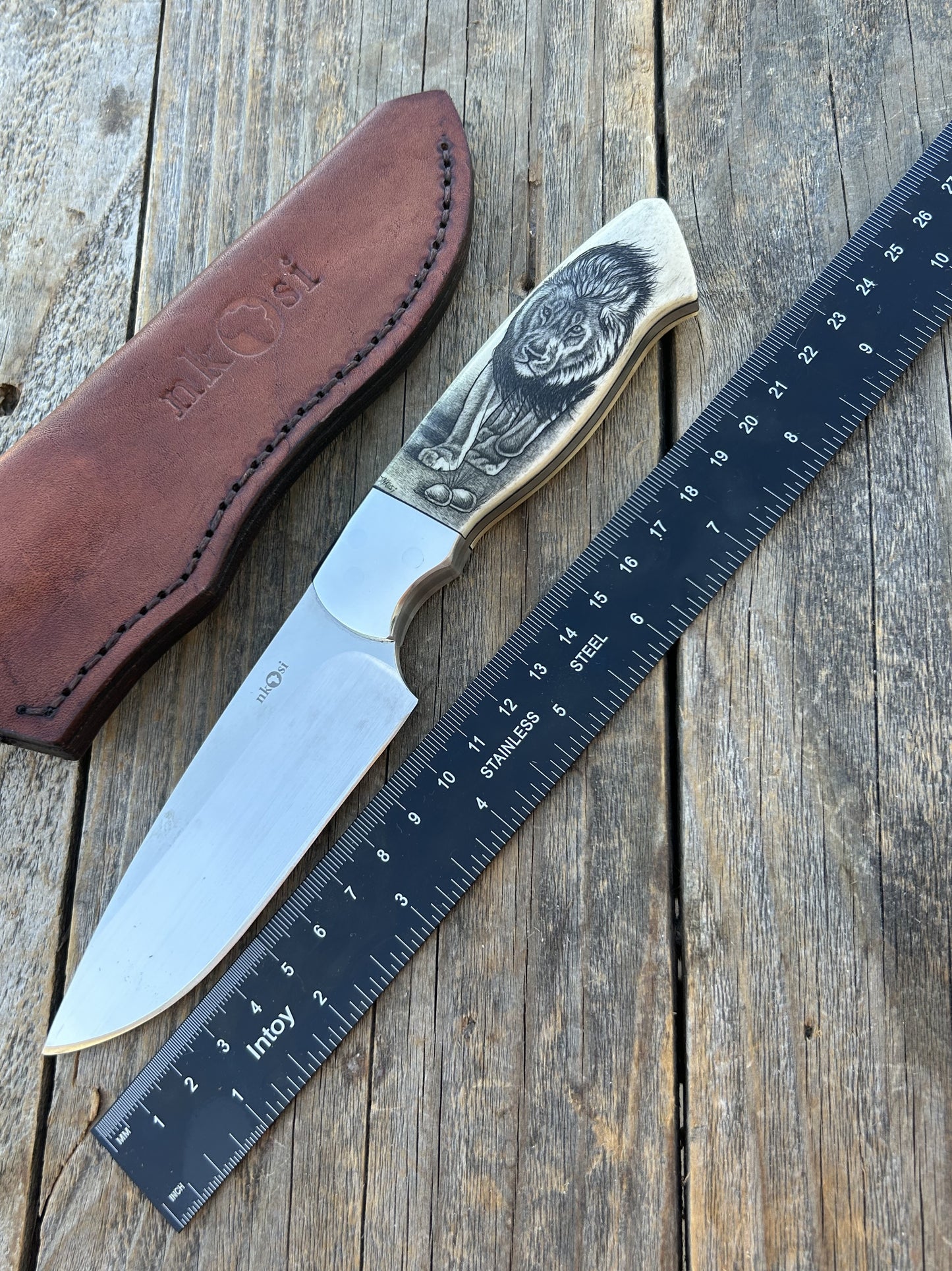 Nkosi - Lion Scrimshaw